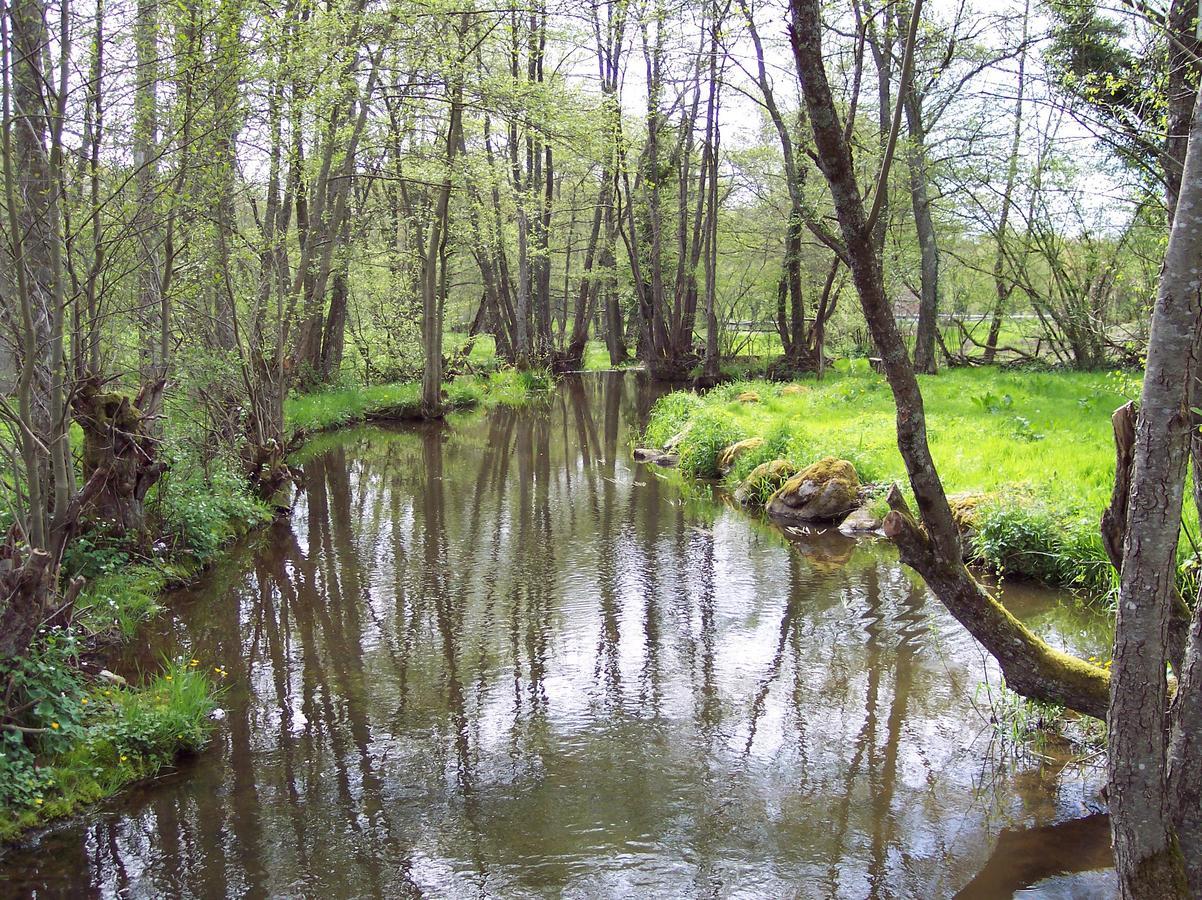 La Vieille Auberge Du Lac Saint-Agnan  Exteriér fotografie